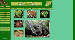 Desktop Screenshot of corallus.de